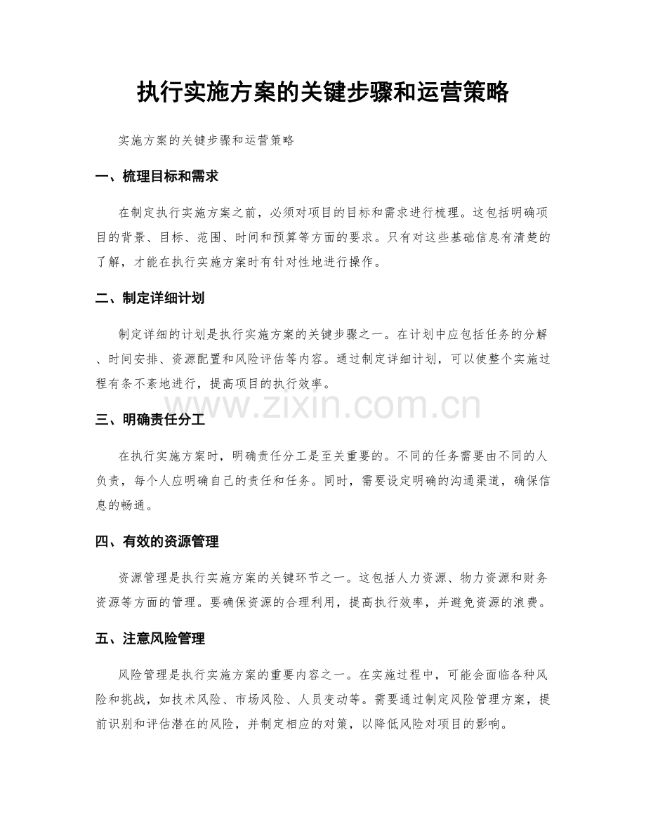 执行实施方案的关键步骤和运营策略.docx_第1页