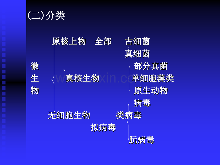 园艺植物生产与微生物环境.pptx_第3页