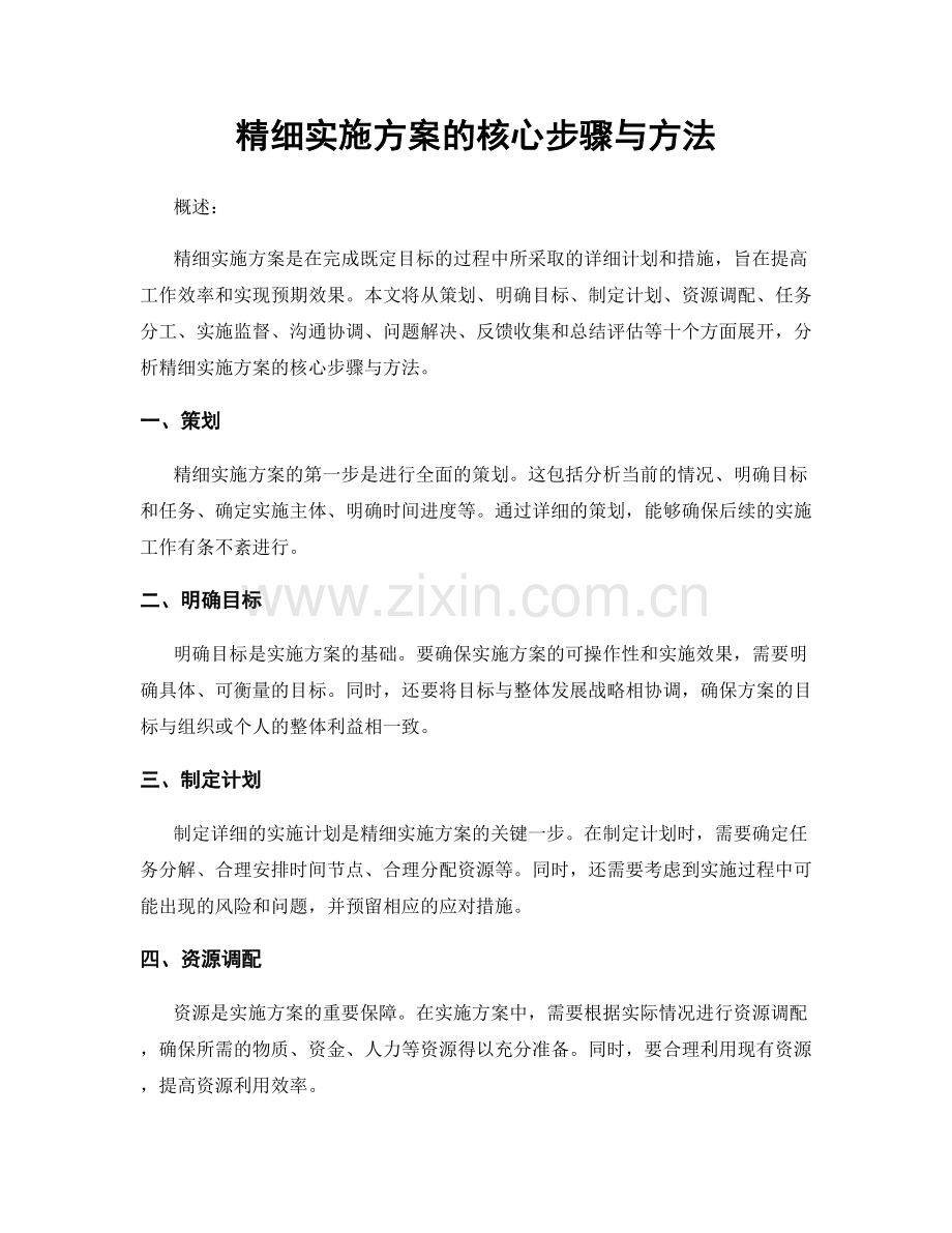 精细实施方案的核心步骤与方法.docx_第1页