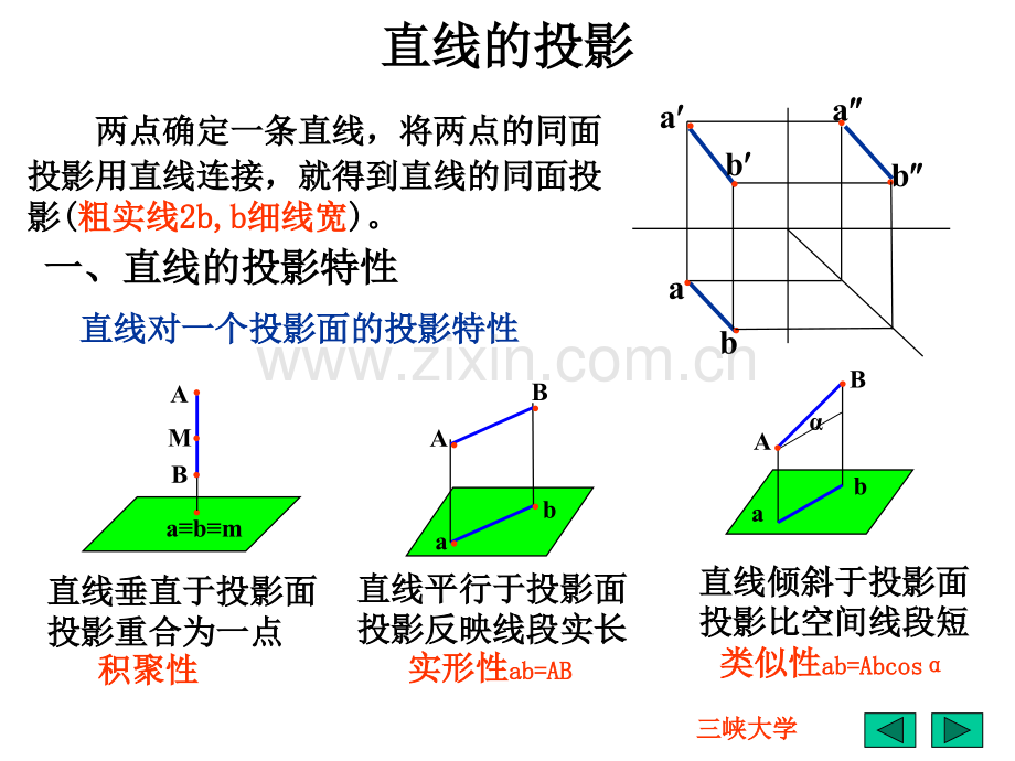 机械制图直线的投影.pptx_第2页