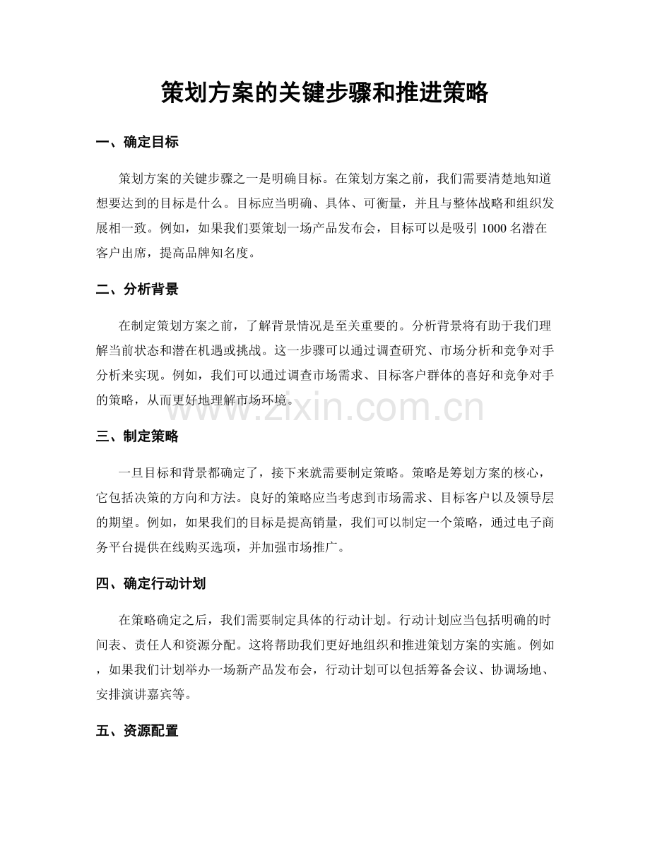 策划方案的关键步骤和推进策略.docx_第1页