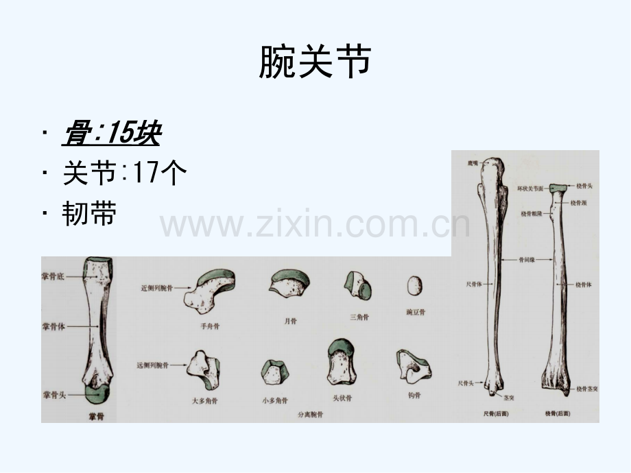 腕关节运动学ppt.pptx_第3页