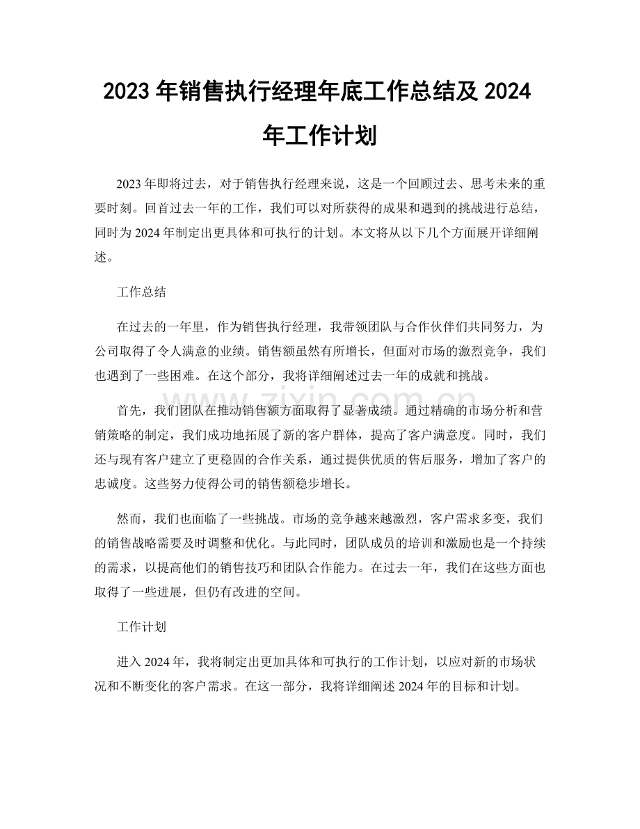 2023年销售执行经理年底工作总结及2024年工作计划.docx_第1页