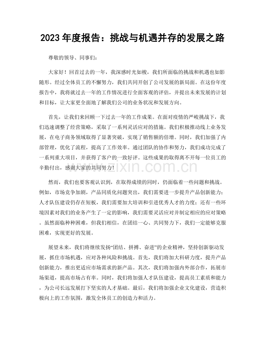 2023年度报告：挑战与机遇并存的发展之路.docx_第1页