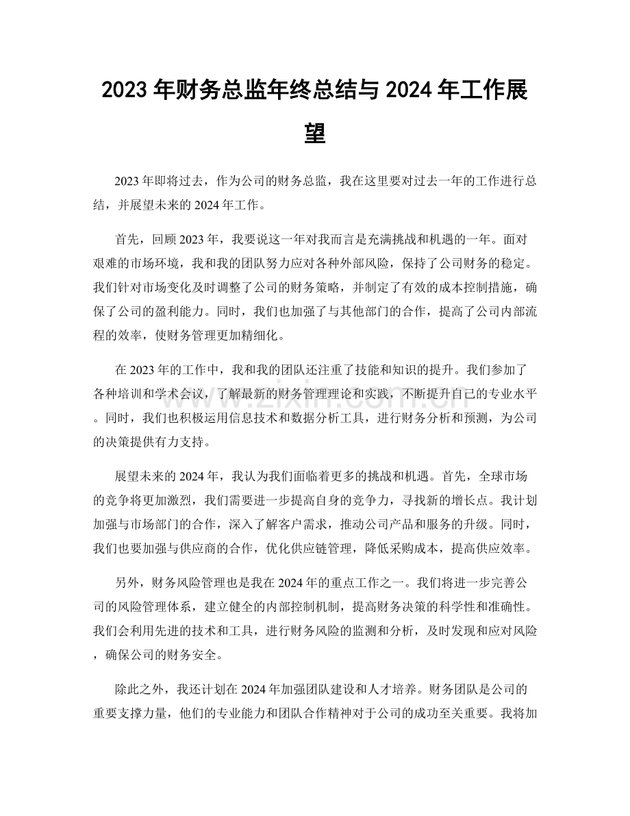 2023年财务总监年终总结与2024年工作展望.docx_第1页