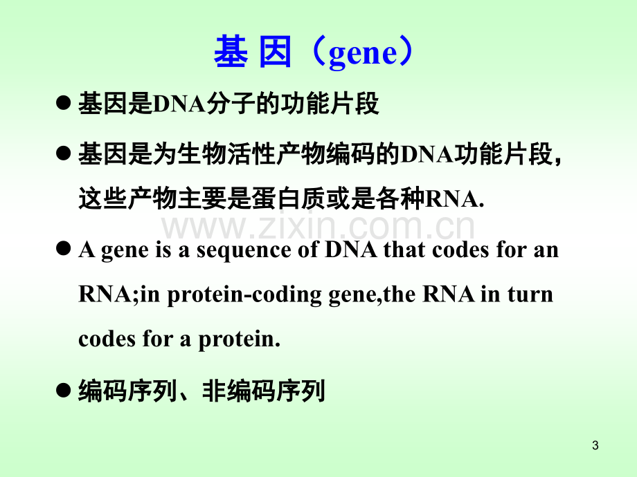 核酸的生物合成.ppt_第3页