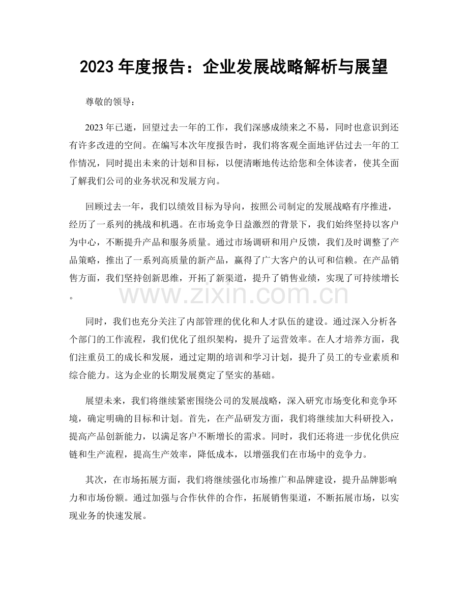 2023年度报告：企业发展战略解析与展望.docx_第1页