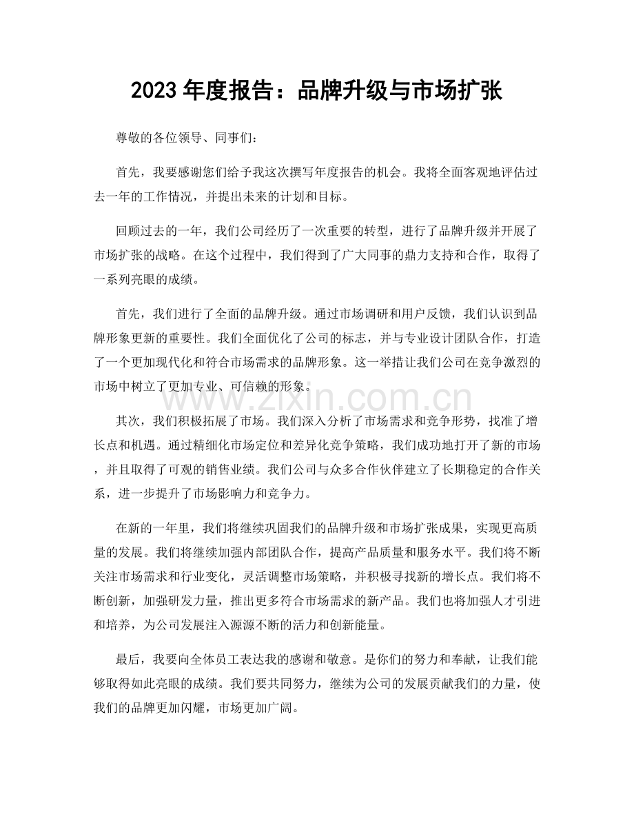 2023年度报告：品牌升级与市场扩张.docx_第1页