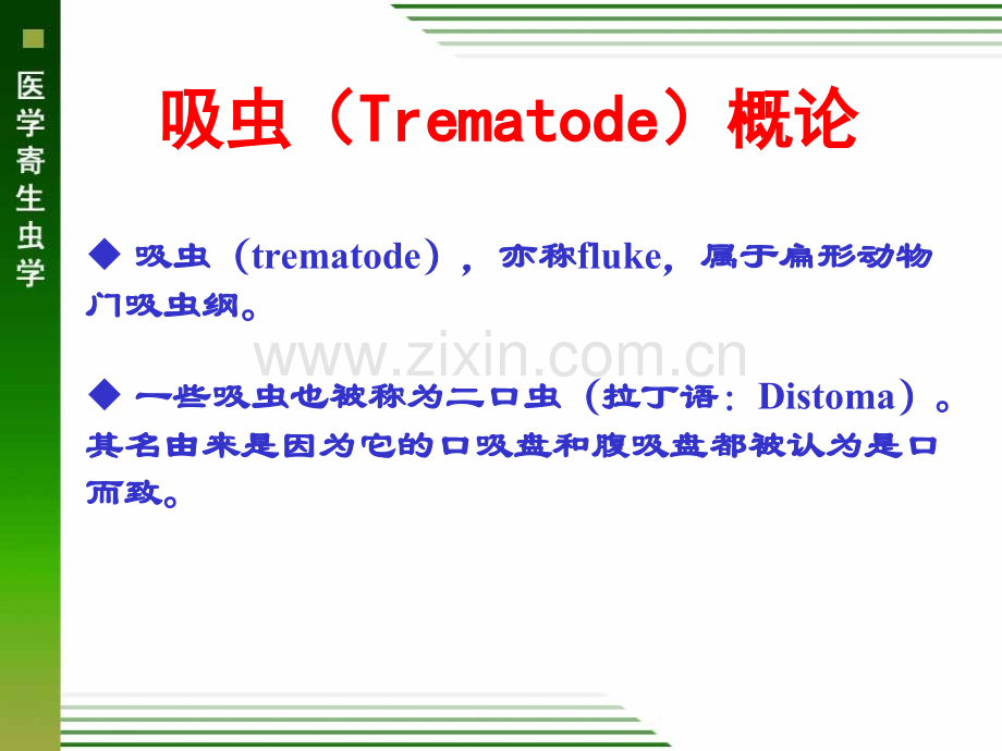 4.吸虫概论、肝吸虫和肺吸虫.ppt_第3页