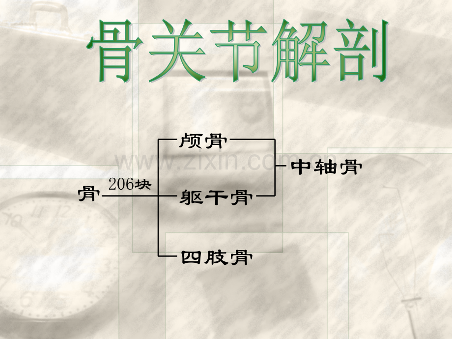 概述、常见四肢骨折病人的护理.ppt_第2页