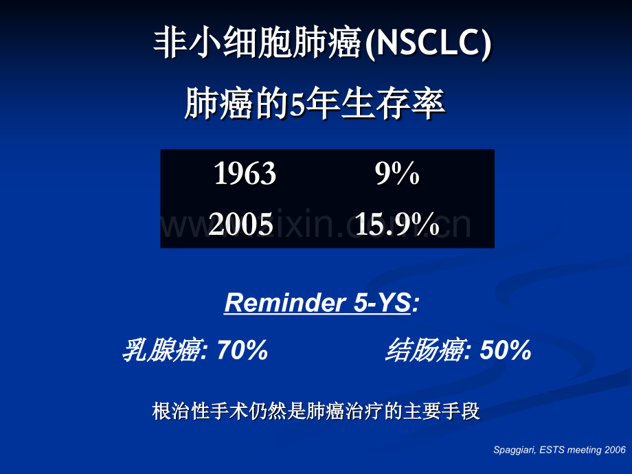 非小细胞肺癌辅助化疗治疗中循证的重要性——从迷雾重重到云开雾散.ppt_第3页