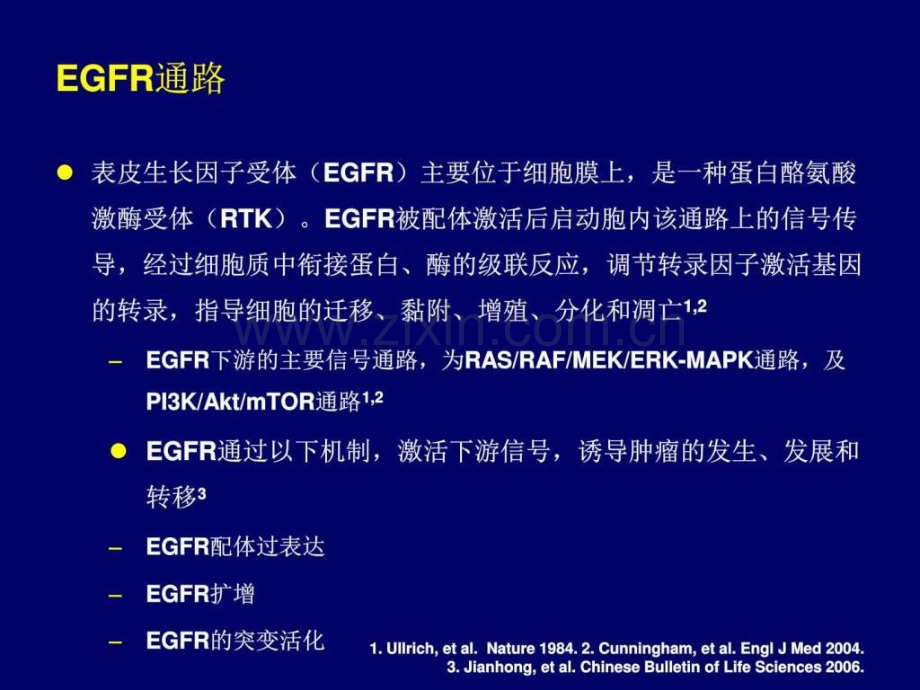 结直肠癌靶向治疗..ppt_第2页