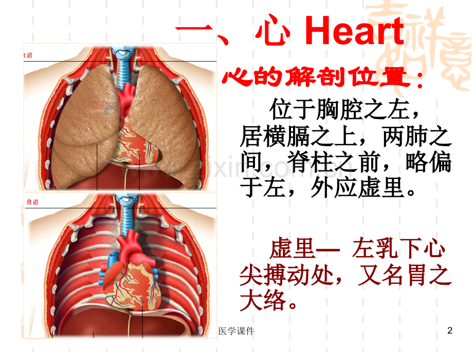 《中医基础理论》藏象.ppt_第2页