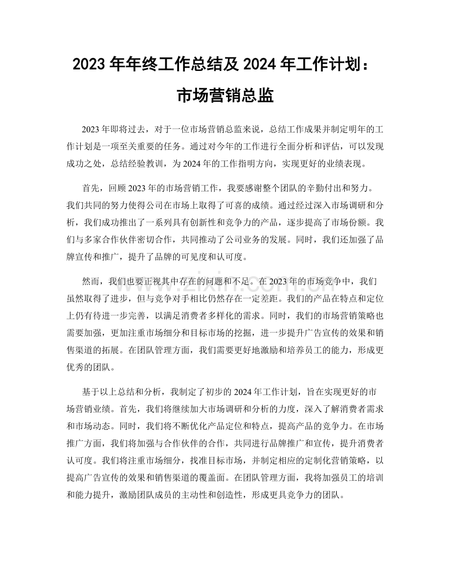 2023年年终工作总结及2024年工作计划：市场营销总监.docx_第1页