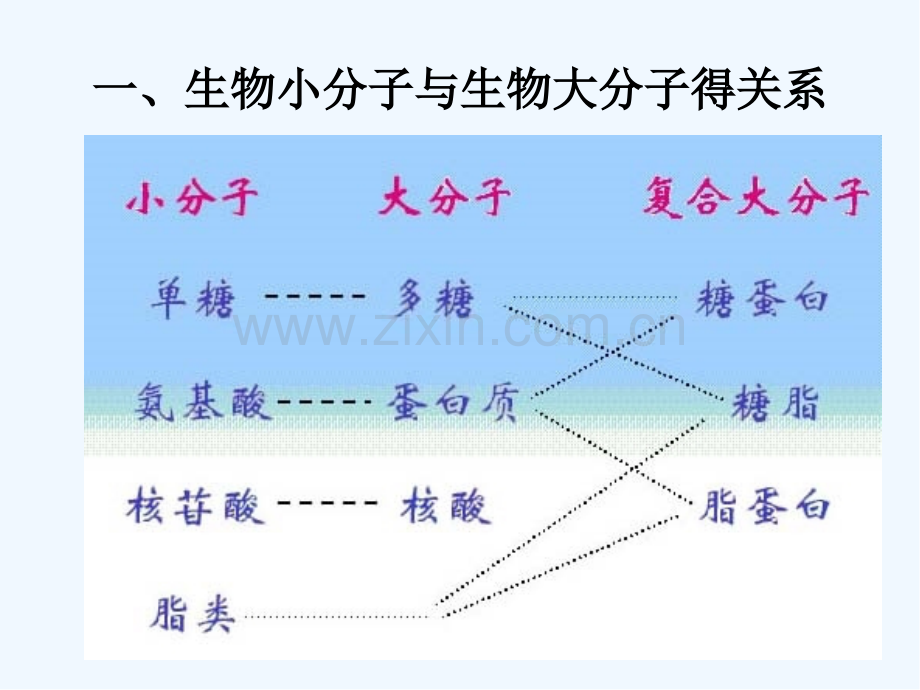 现代生物技术导论组成生物体的基本元件.pptx_第3页