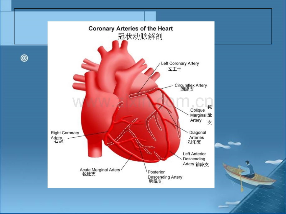 冠状动脉搭桥手术体外循环管理.ppt_第3页