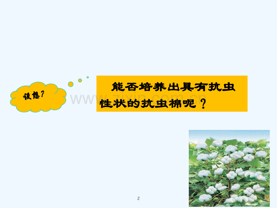 DNA重组技术的基本工具(精校版)-PPT.ppt_第2页