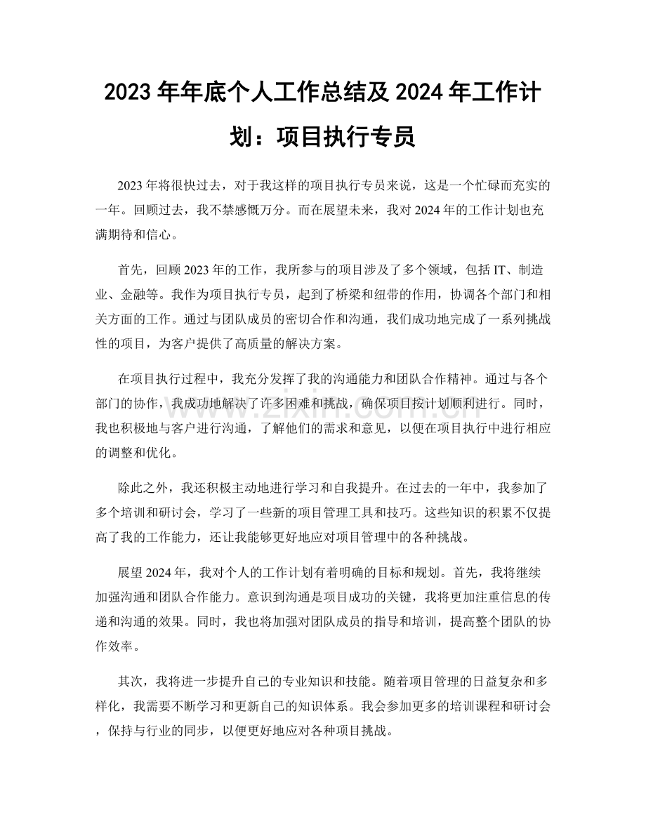 2023年年底个人工作总结及2024年工作计划：项目执行专员.docx_第1页