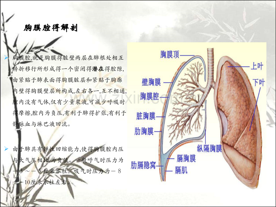 胸腔穿刺术实用讲解.pptx_第3页