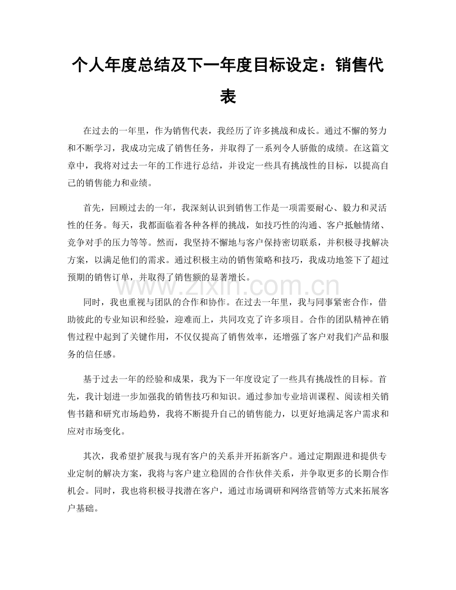 个人年度总结及下一年度目标设定：销售代表.docx_第1页