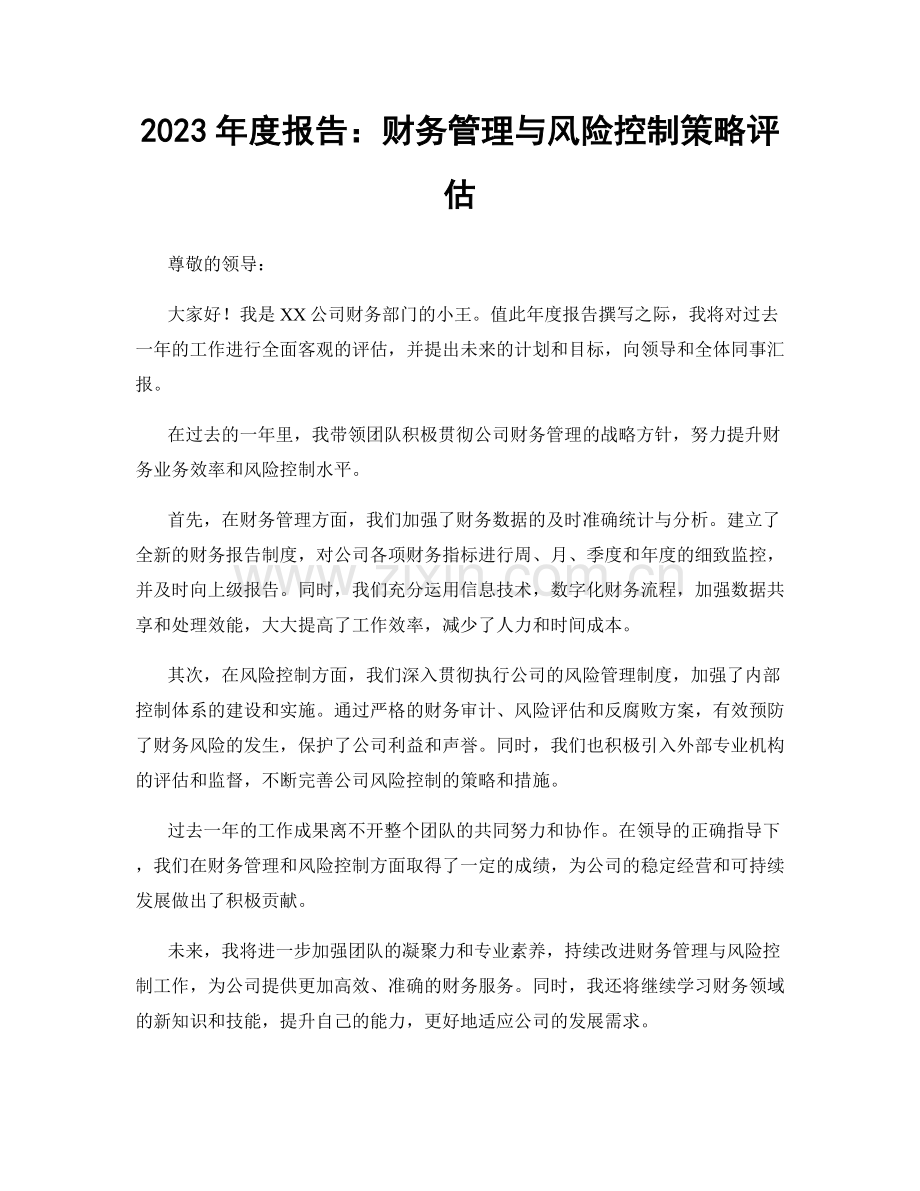 2023年度报告：财务管理与风险控制策略评估.docx_第1页