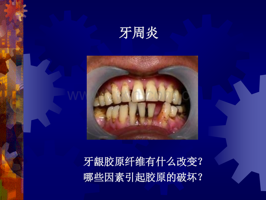 口腔生物化学.ppt_第3页