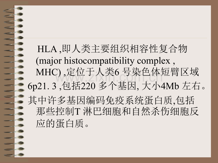 造血干细胞移植的HLA配型.ppt_第3页