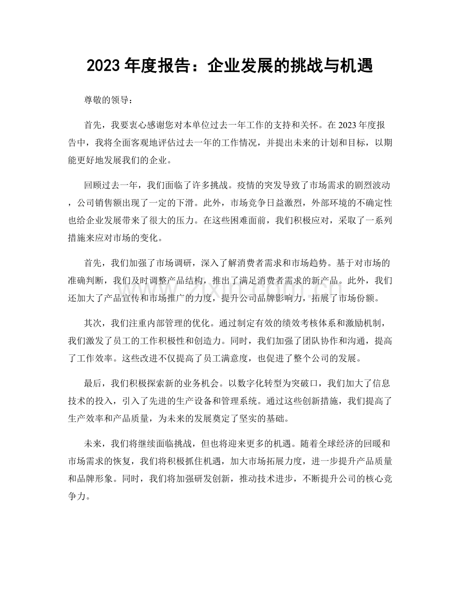 2023年度报告：企业发展的挑战与机遇.docx_第1页