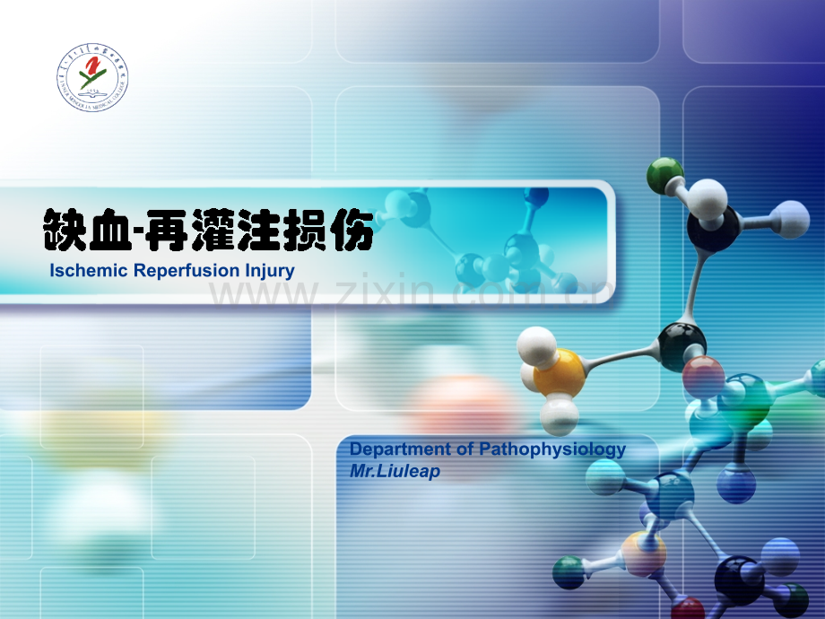 ⑥IRI-病例讨论20101023.ppt_第2页