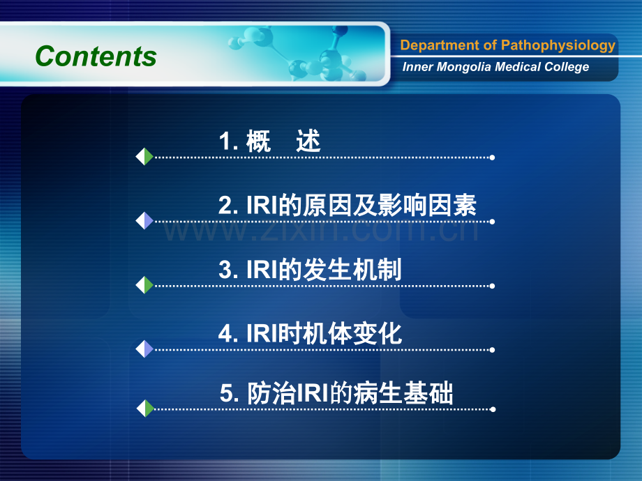 ⑥IRI-病例讨论20101023.ppt_第3页