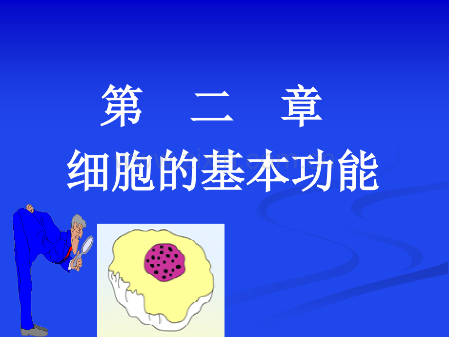 生理学第二章细胞课件.ppt_第1页