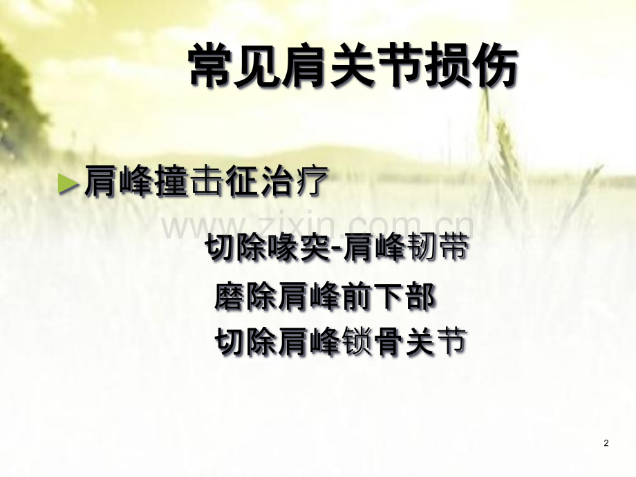 肩关节镜手术期护理要点.pptx_第2页