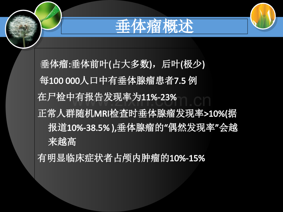 201912.14垂体腺瘤ppt课件共42页PPT文档.ppt_第3页