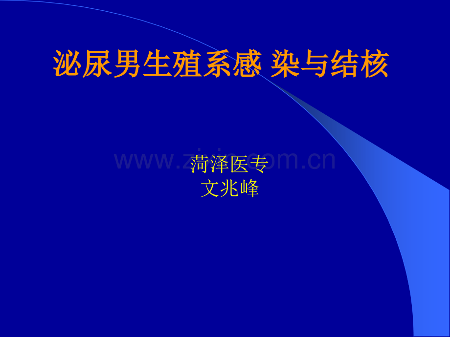 上尿路感染急性肾盂肾炎肾积脓肾皮质多发性脓肿肾周围炎.ppt_第1页