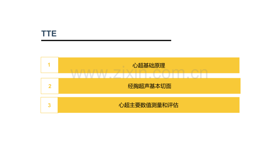 经胸超声心动图.ppt_第2页