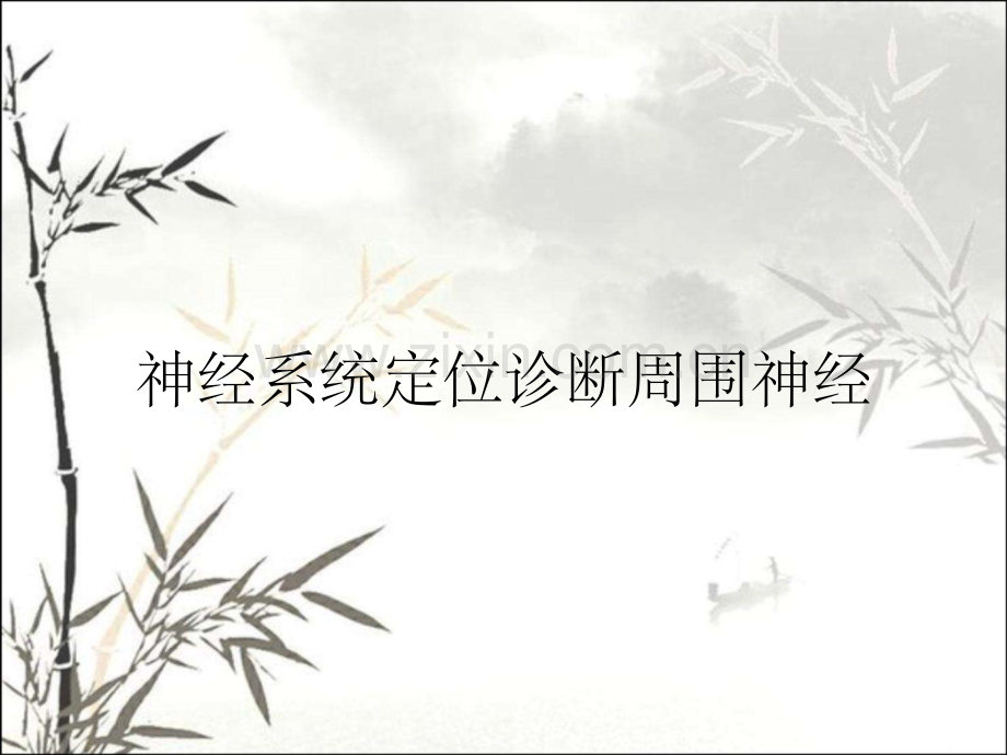 神经系统定位诊断周围神经.pptx_第1页