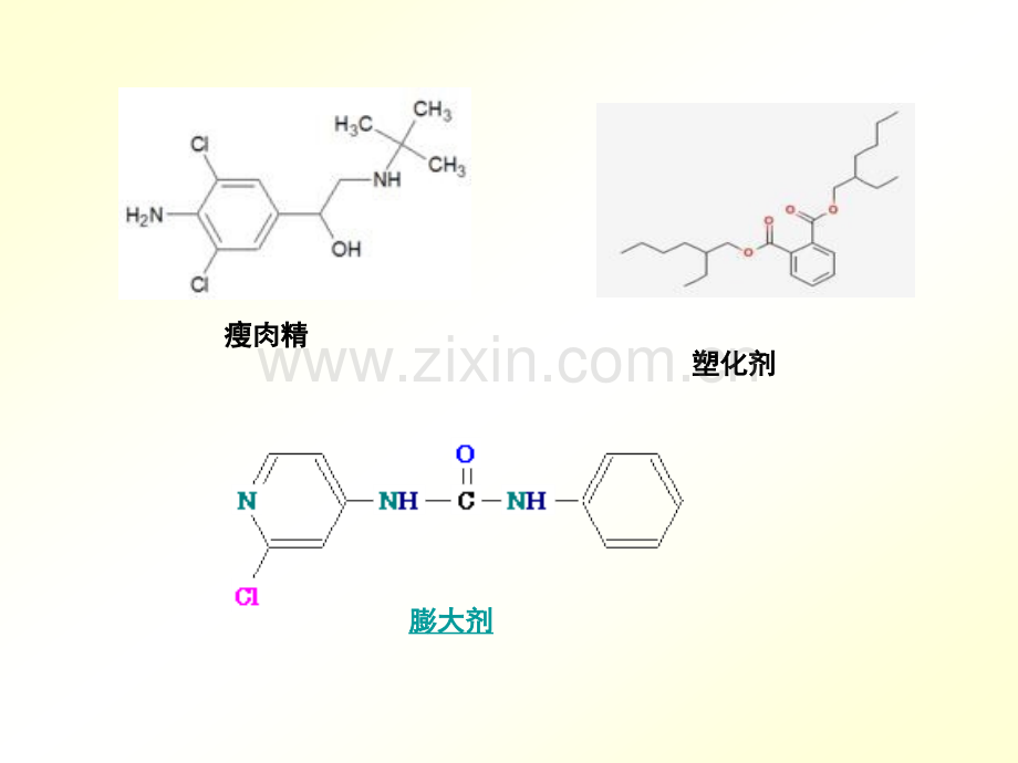 乳酸性质.pptx_第2页