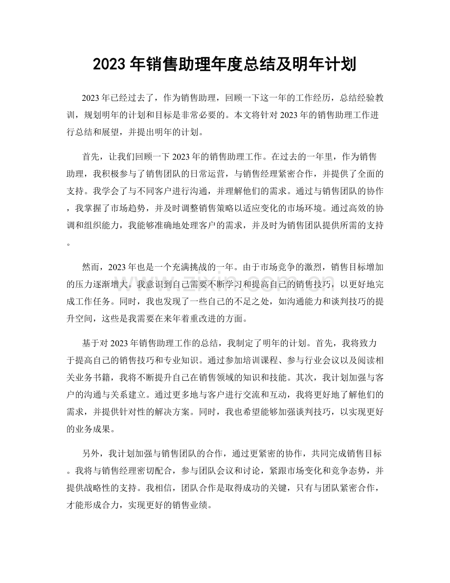 2023年销售助理年度总结及明年计划.docx_第1页