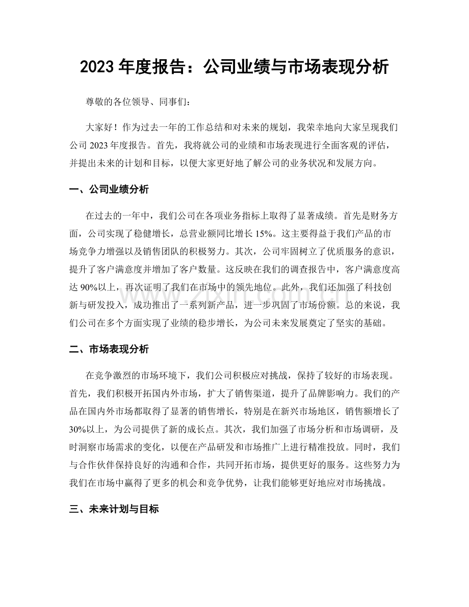 2023年度报告：公司业绩与市场表现分析.docx_第1页