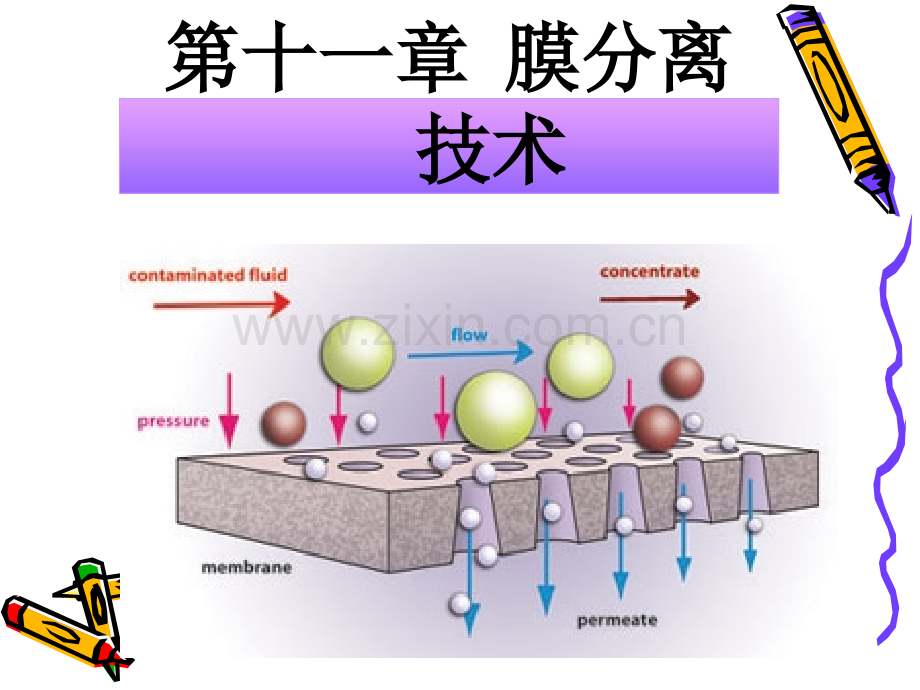 生物制药学——第十一章-膜分离技术.ppt_第1页