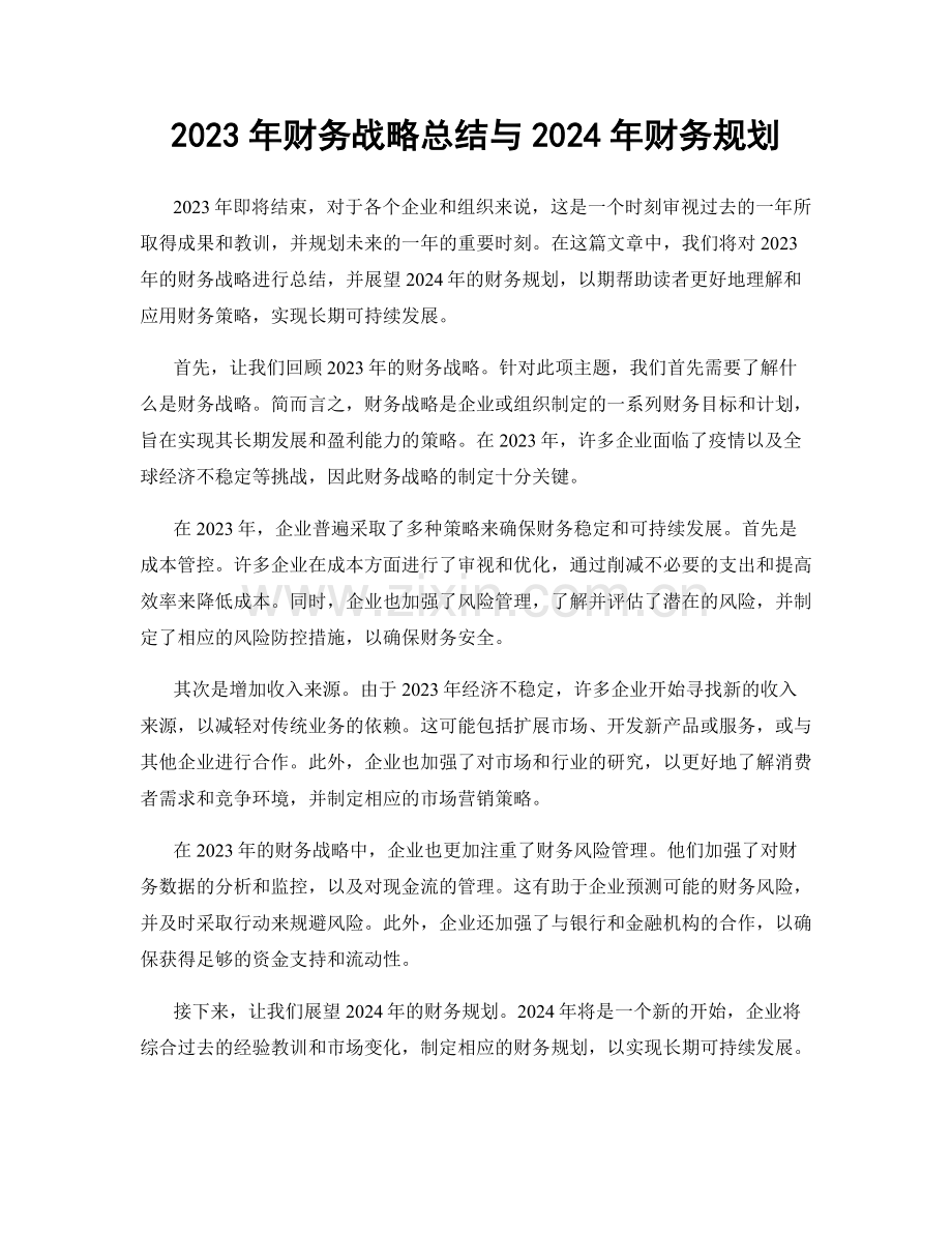 2023年财务战略总结与2024年财务规划.docx_第1页