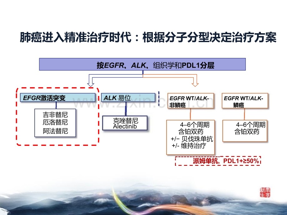 肺癌精准医学的2.0时代.pptx_第3页