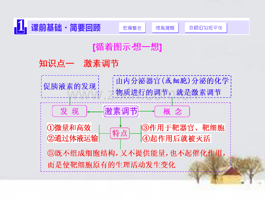 2016届高三生物一轮复习-第一单元-第三讲-激素调节及其与重点.ppt_第2页