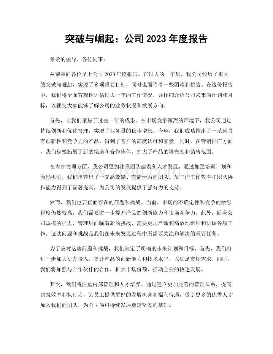 突破与崛起：公司2023年度报告.docx_第1页