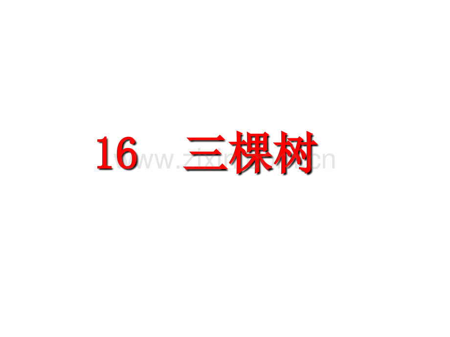 八年级上册课件-16.三棵树-(共24张PPT)-.ppt_第2页