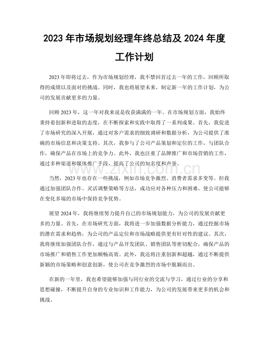 2023年市场规划经理年终总结及2024年度工作计划.docx_第1页