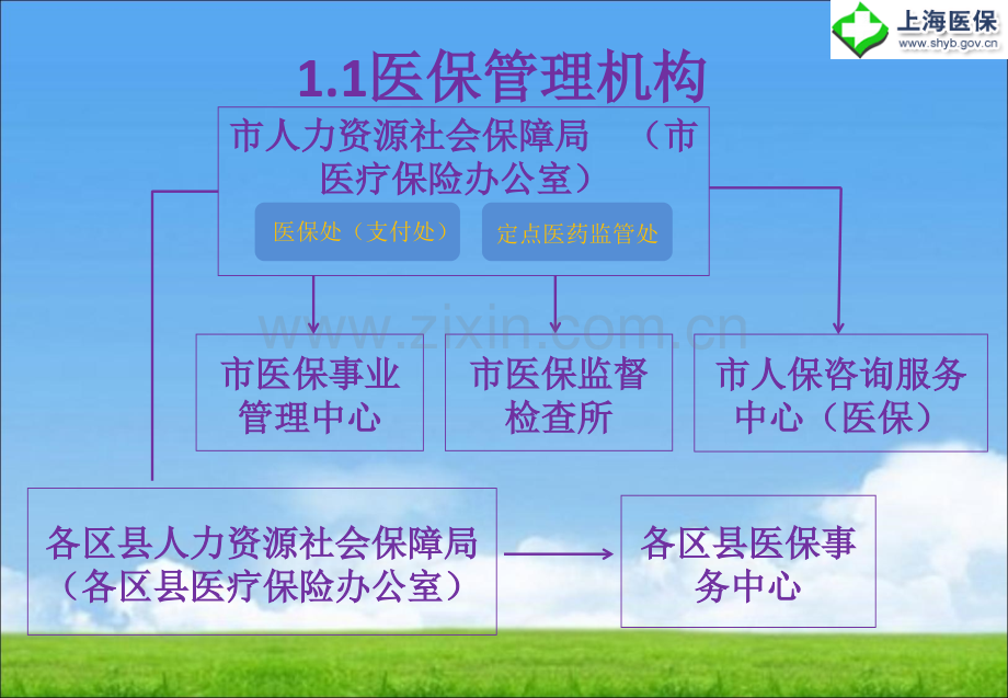 上海城镇职工基本医疗保险定点医疗机构管理暂行办法.ppt_第3页