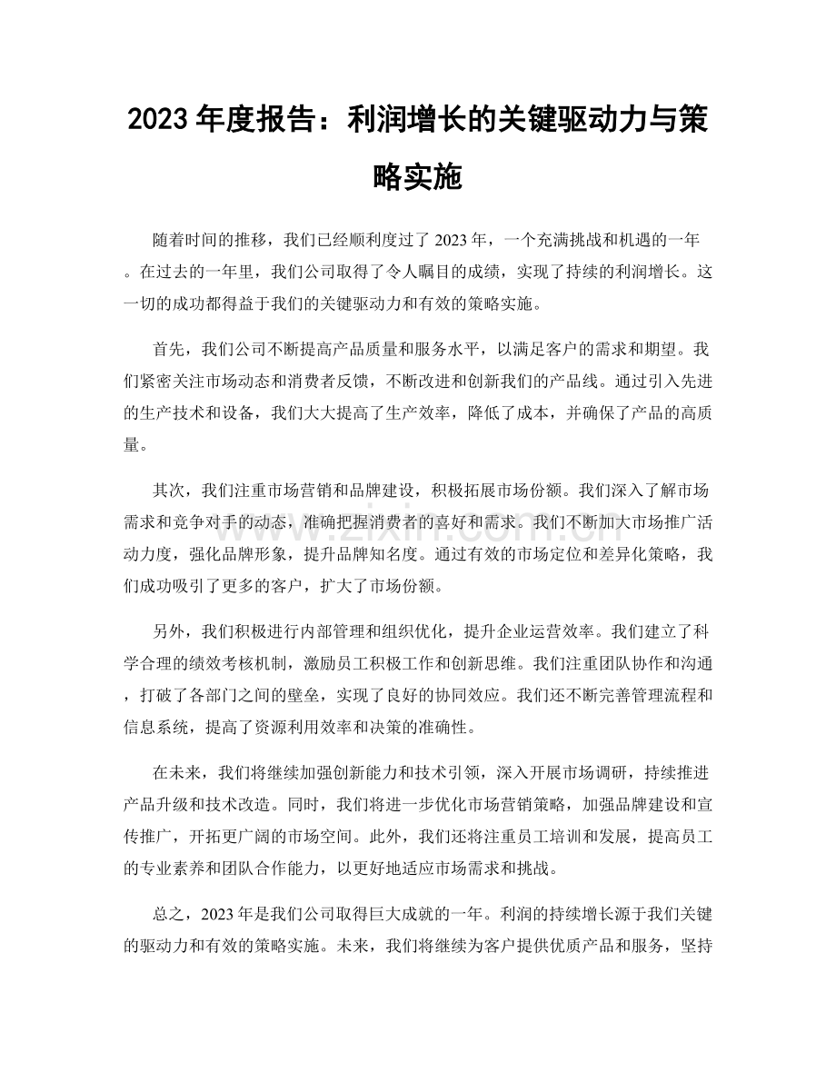 2023年度报告：利润增长的关键驱动力与策略实施.docx_第1页