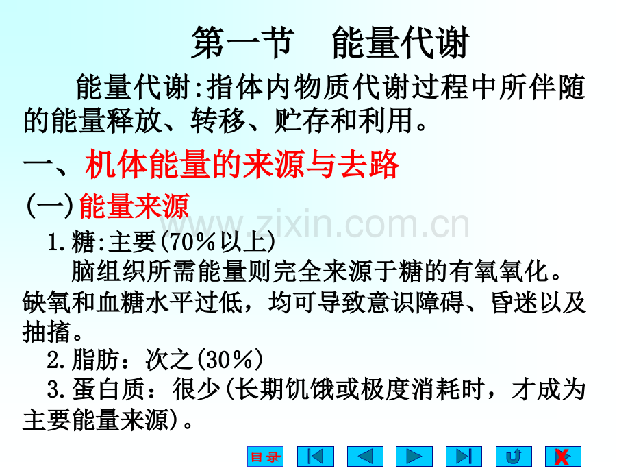 生理学课件-能量代谢与体温-.ppt_第2页