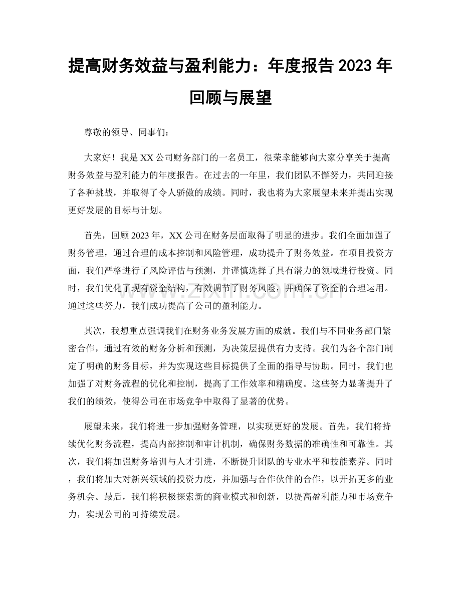 提高财务效益与盈利能力：年度报告2023年回顾与展望.docx_第1页